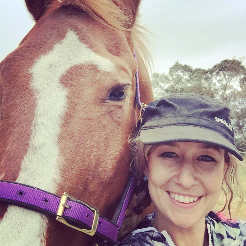 horse chiropractors in Adelaide