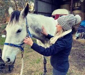horse chiropractors Adelaide